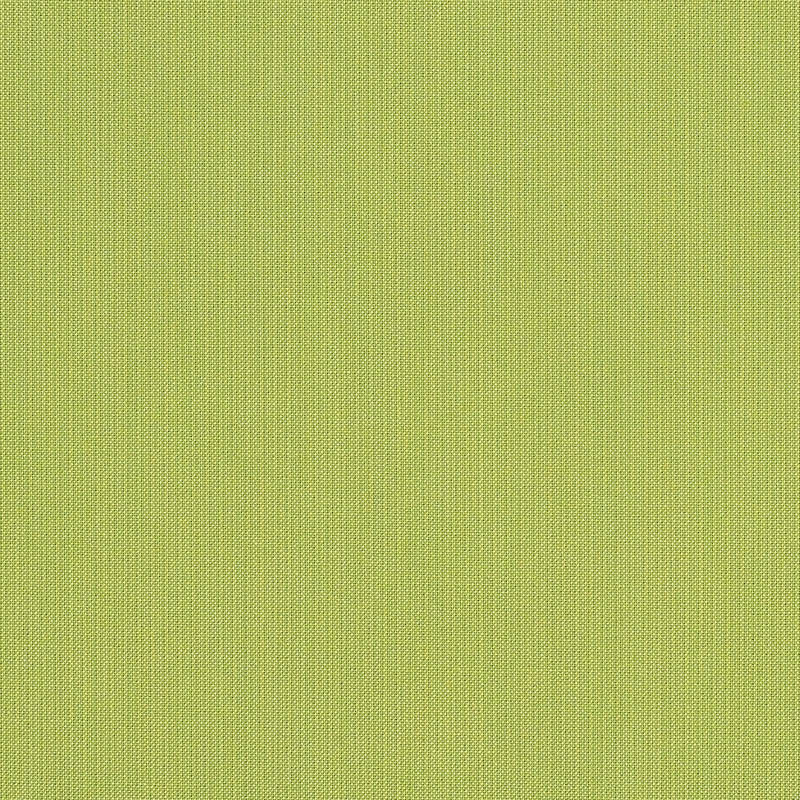 Sunbrella Spectrum Kiwi